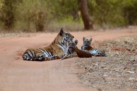 itineraries-central-India-.jpg itineraries-central-India-.jpg